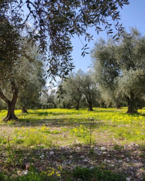 Appartamenti Anna Maria